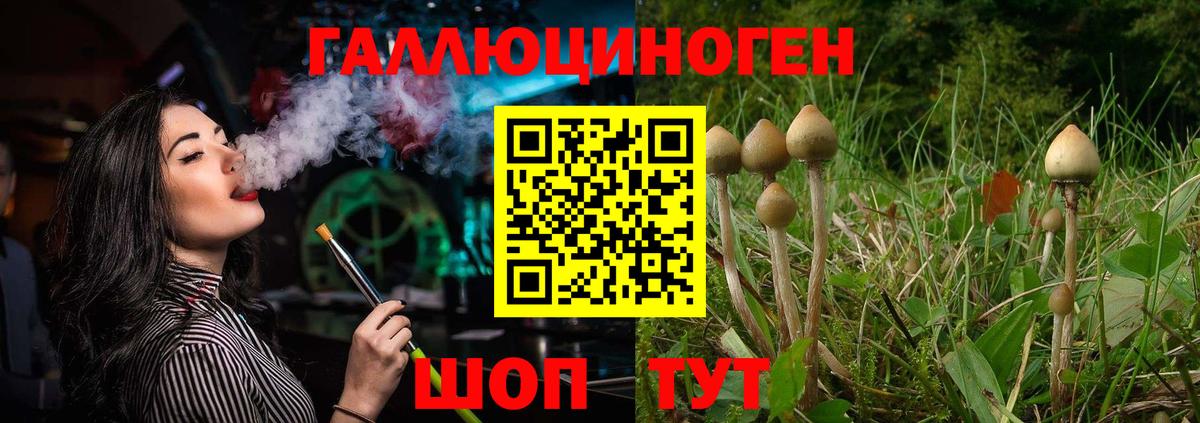Псилоцибиновые грибы прущие грибы  Вход с VPN  продажа наркотиков  Псилоцибиновые грибы Psilocybe  Тула 