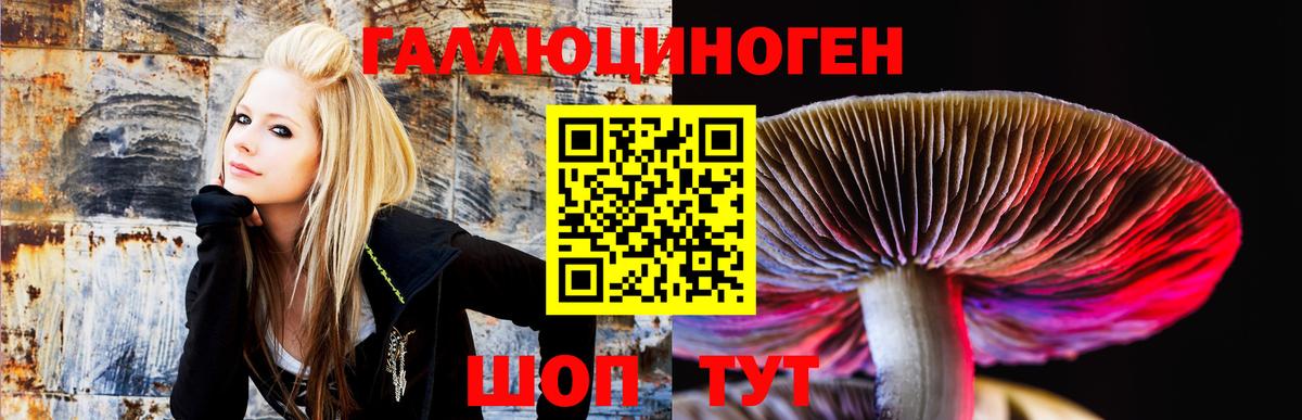 Галлюциногенные грибы Cubensis Тула